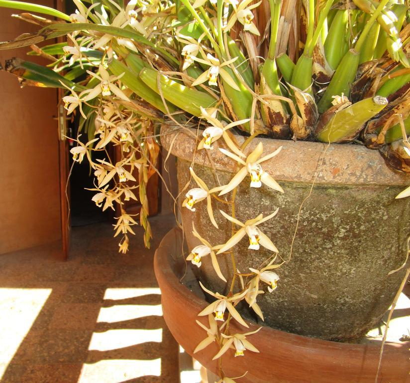 Meva Guesthouse Antananarivo Buitenkant foto